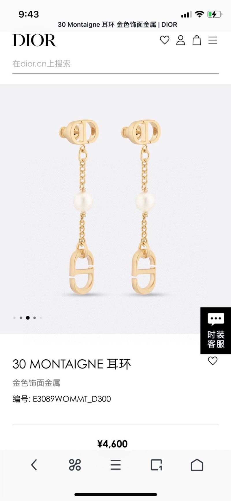 Christian Dior Earrings